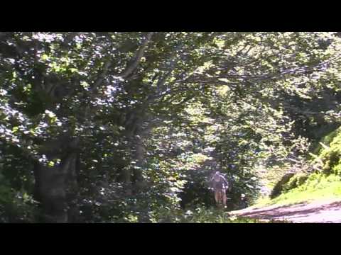 Pavullo,via vandelli 2009