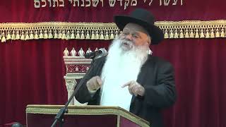 הדרך להצליח בשמירת העיניים | הרב דניאל זר - דרשה אששש🔥🔥🔥