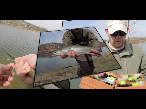 Mucha na stawie.  #StayHome #ZostańWDomu #UkręćMuchę #traper.pl