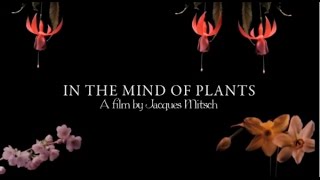 In The Mind of Plants - Amazing Nature Scenery - Nature Documentary