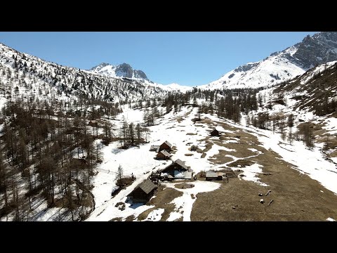 TRAF - Live in Buffère