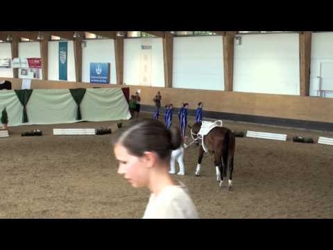 Bayerische Meisterschaften 2011 - Franken-Junior II.mov