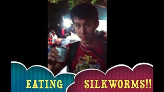 Drunk In Korea: Eating Silkworm Larvae in Yeoido (Bundaegi)