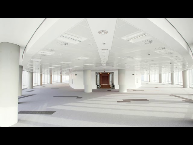 Miniatura del video Finalista Oro