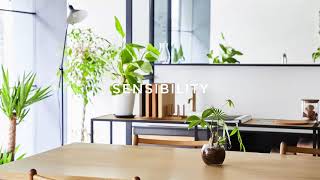 Download lagu RILNO vol.01 mp3 Download lagu RILNO vol.01 mp3