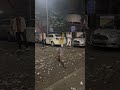 Boomer Sky Shot Diwali Skyshot Shorts Viralvideo Shortvideoshorts Sivakasi Firecrackersta