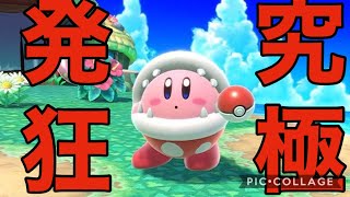 【スマブラSP】大発狂ブチギレブラザーズSP＃４【魅せプ集】