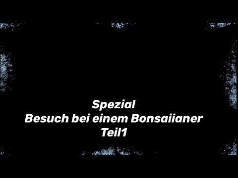 JG-Bonsai Spezial: Besuch bei einem Bonsaiianer Teil 1
