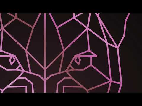 Solee - Pink Panther | Parquet Recordings