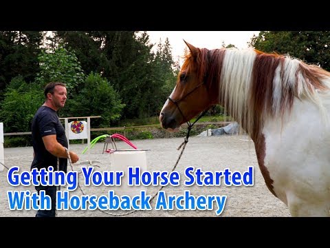 Getting Your Horse Started With Horseback Archery: Part 1