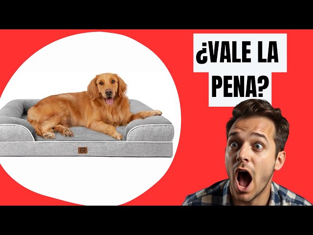 Vídeo relacionado con EHEYCIGA Cama Perros Grande Ortopédica, 89x58x9cm Colchon Perro con Espuma De Caja De Huevos, Colchoneta Perro Lavable, Dog Bed, Gris