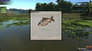 Atom fishing 2 где поймать карася на мотыль
