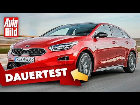 Kia ProCeed GT (2020): Long-term test - first impressions - Info