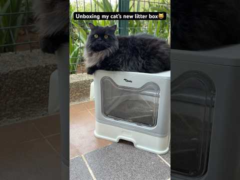 PawLites Oversized Foldable Cat Litter Box