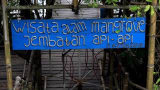 preview picture of video 'JALAN JALAN KE HUTAN MANGROVE PANTAI PASIR KADILANGU KULON PROGO YOGYAKARTA'