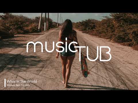 What In The World - Wildson feat. Ed Mills [Soul Music]