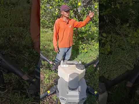 Testimonios: aplicaciones fitosanitarias con drones de agricultura DJI, La Pintada Antioquia.