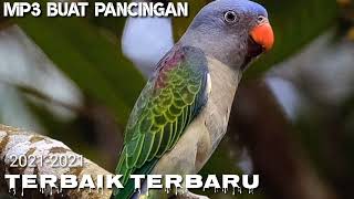 Download lagu Suara pancingan mp3 buat manggil burung puling tajaling/nuri tanau terbaru mp3