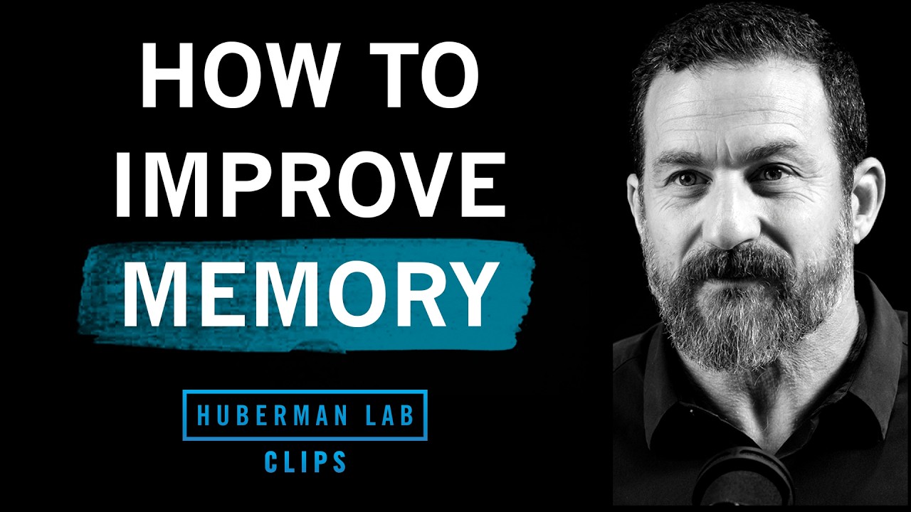 How to Improve Memory & Accelerate Learning | Dr. Andrew Huberman