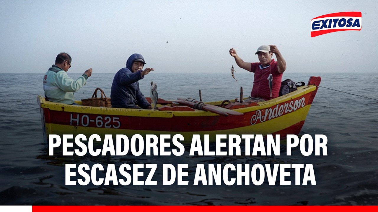 🔴🔵 Pescadores de Chimbote alertan sobre la escasez de anchoveta y las largas jornadas en altamar