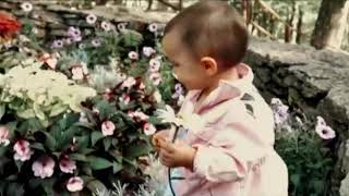 Download lagu Status Wa Girl like you mp3 Download lagu Status Wa Girl like you mp3