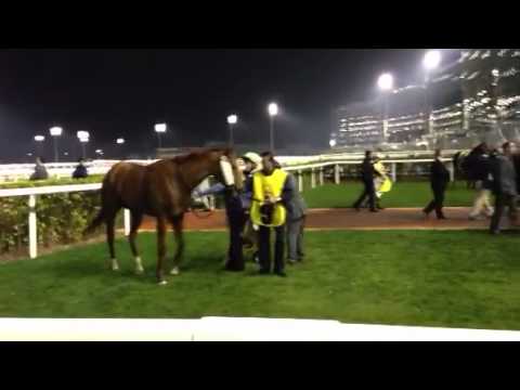 Dubai Carnival Horse Race