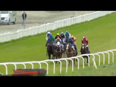 2016.10.12 Norsk Oaks - Elektra Art