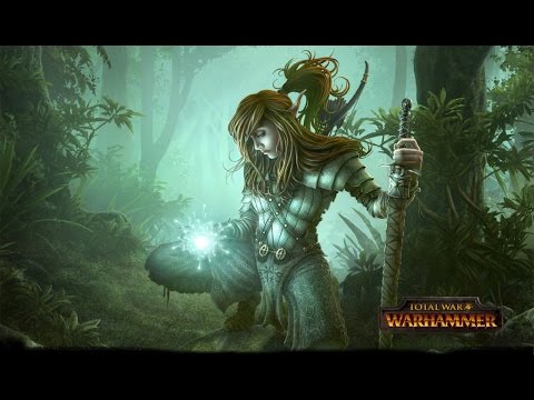 Wood elves vs greenskins (Custom Battle)