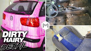 Complete Dirty Hairy Car Ibiza | Deep Cleaning Pet Hair Detailing Transformation