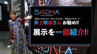 特別展「古代ＤＮＡ―日本人のきた道―」展覧会公式サポーター・井上咲楽さん おすすめの展示品紹介まとめ