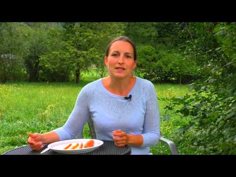 Karotte für BLW-Anfänger - Baby Led Weaning Tipps deutsch