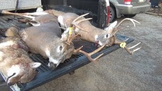 Rifle Buck Season Deer Hunting 2012 - Hunter