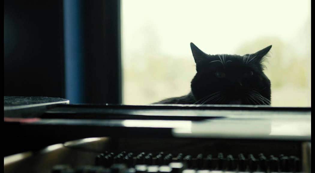 Placeholder from YouTube