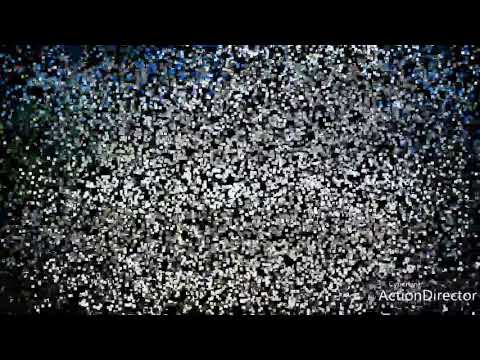 Champ De Mars Horse Racing Analyse (Meeting 5 - 20 April 2019)