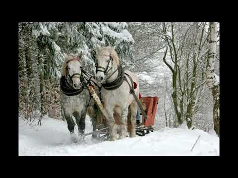 "Musikalische Schlittenfahrt" von Leopold Mozart | Allegretto und Andante