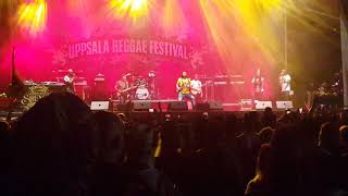 Alborosie (Playing bass)- Operation Uppsala at Urf 2018