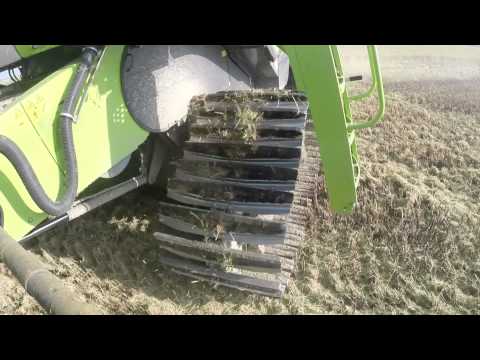 Raccolta Riso 2014 - Tenuta Torre. CLAAS Lexion 760 R660