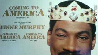 COMING TO AMERICA - THE SYSTEM