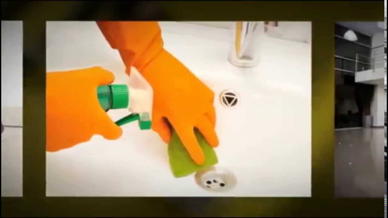 Lourdes Cleaning Solutions - (312) 315-2107