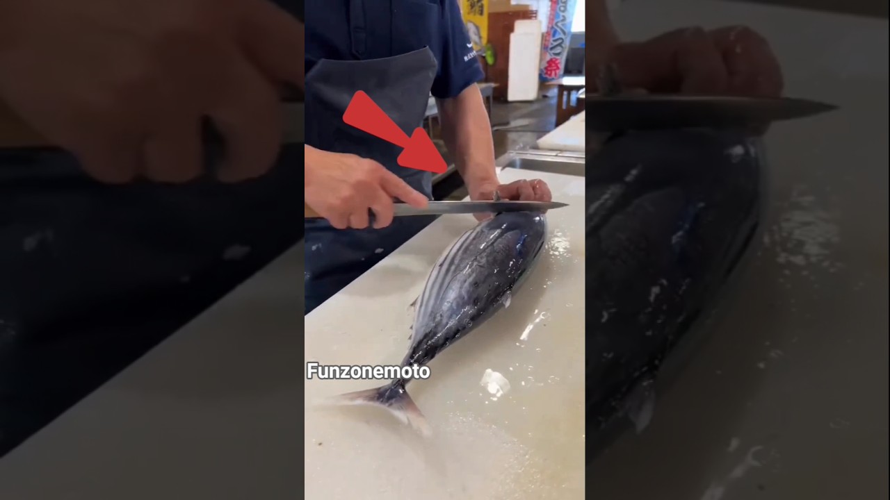 Three cuts are made on the body of a tuna fish.🐠 #tunafish #body #shorts #viral #facts #amazing #man