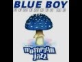 Blue Boy - Remember Me (K.O. Funk Vibe Mix ...