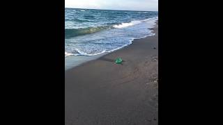 Largest Seaglass Piece!