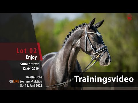 Sommer-Auktion Training Lot 2 Enjoy Stute v. Emilio Sanchez - Bestseller