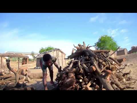 Toliara leboto masikoro