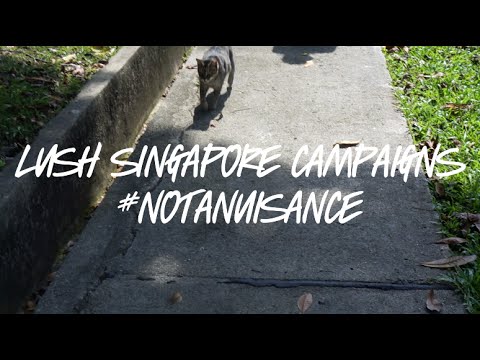 Lush Singapore Campaigns: #NotANuisance