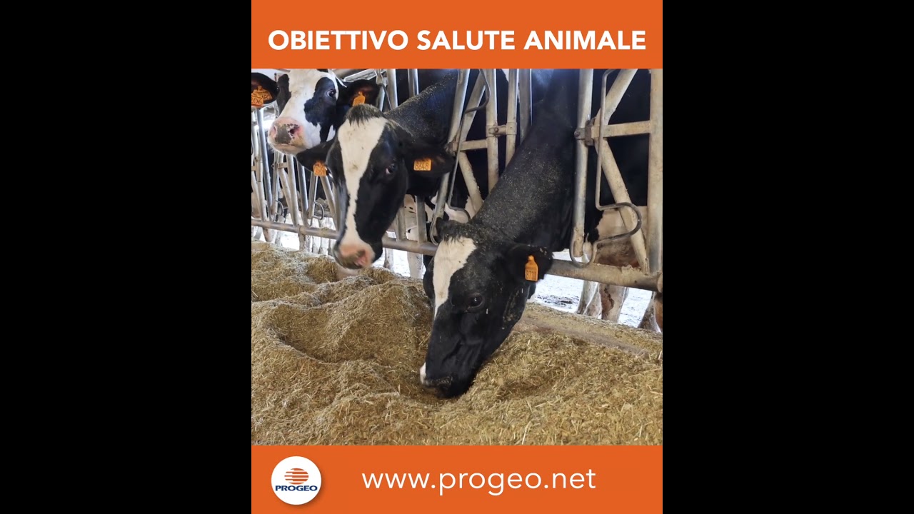 Obiettivo salute animale