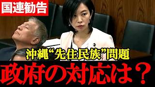 【参政党・梅村みずほ】沖縄“先住民族”国連勧告と中国の影響、政府の対応が問われる【2026年4月1日参議院沖縄・北方問題委員会】