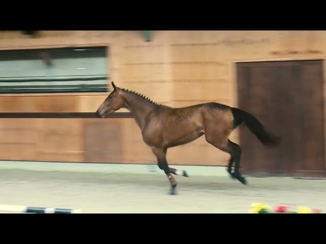 Gaits