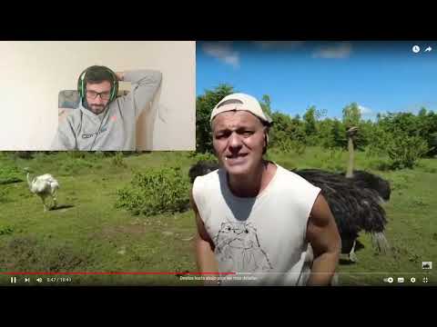 Reaccionando a Frank Cuesta. Cancion dedicada a ayuso, es el p**to amo!!! :D