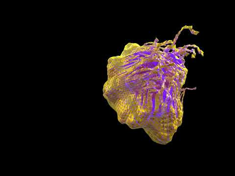 polyfold effect by entagma which helped me a lot to learn matrix in Houdini